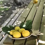 Rural Casapina * Коніль-де-ла-Фронтера
