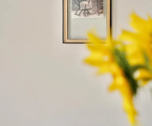 Rural Casapina Country house