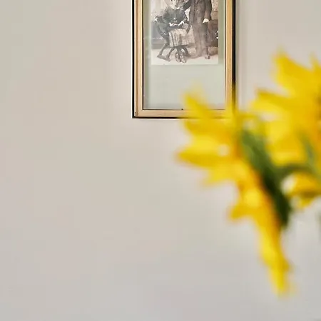 Rural Casapina 乡村民宿