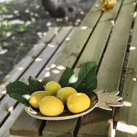 Rural Casapina * 科尼尔-德拉弗龙特拉