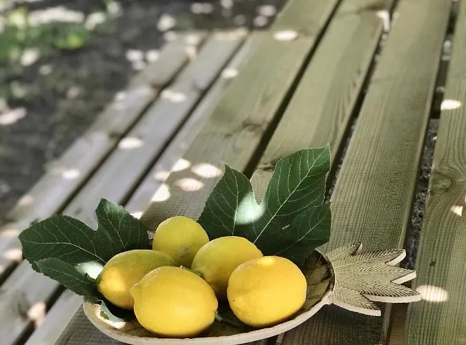 Rural Casapiña * Conil De La Frontera